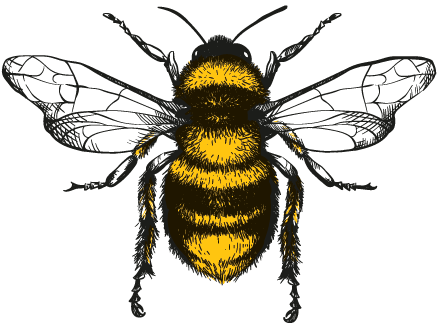 https://savethebees.com/static/media/beeLogo.8ef1727a.png